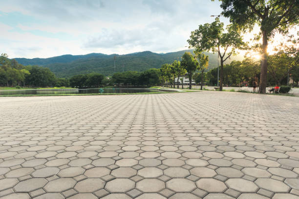 Best Best Driveway Pavers  in Cedar Grove, FL